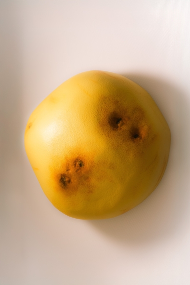Een aardappel